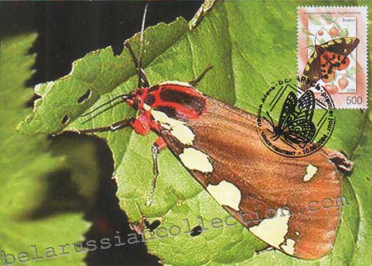Percallia matronula