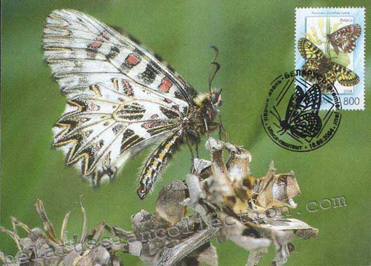 Zerynthia polyxena