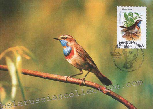 Luscinia svecica